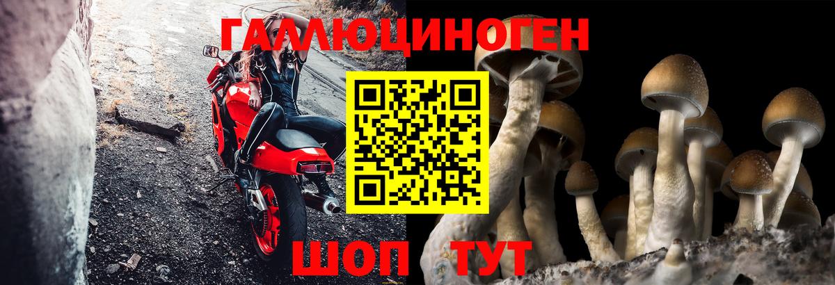 Псилоцибиновые грибы прущие грибы Урюпинск