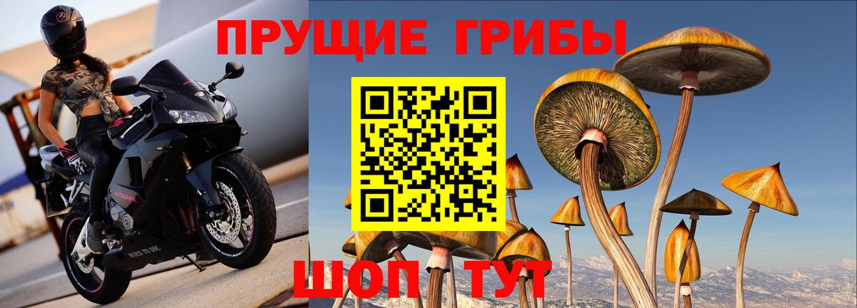 Псилоцибиновые грибы GOLDEN TEACHER  Вход с VPN  Урюпинск 
